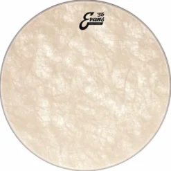 Evans 18" Calftone Tom