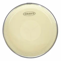 Evans EC1175E Tri-Center Conga Head