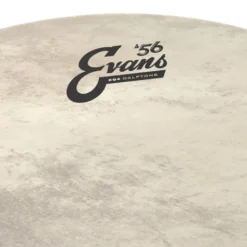 Evans 22
