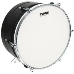 Evans 14" G1 Coated