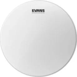 Evans 14