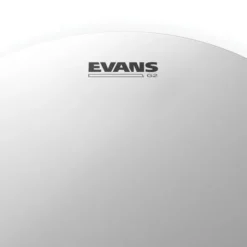 Evans 08" G2 Coated Tom