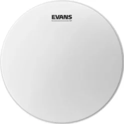 Evans 10