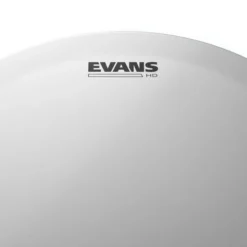 Evans 13