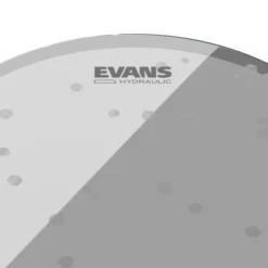 Evans 15