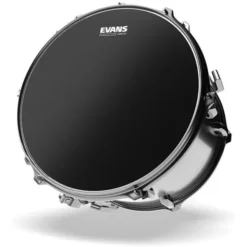 Evans 08