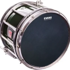 Evans 14