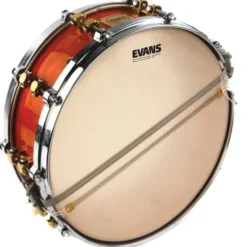 Evans 14" S14GEN30 Snare Resonant