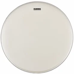 Evans 20" UV1 Coated Bass