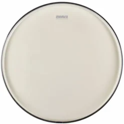 Evans 22" UV1 Coated Bass