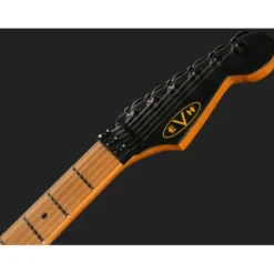Evh Frankie Striped MN Relic B/Y