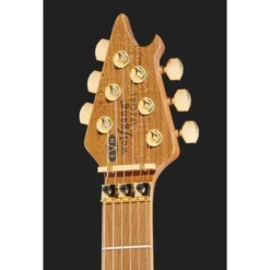 Evh Wolfgang Special QM Purple B