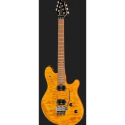 Evh Wolfgang WG Std QM TA