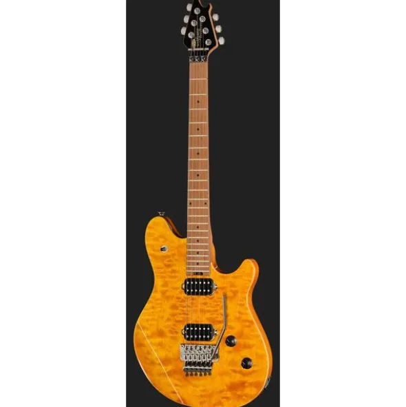 Evh Wolfgang WG Std QM TA