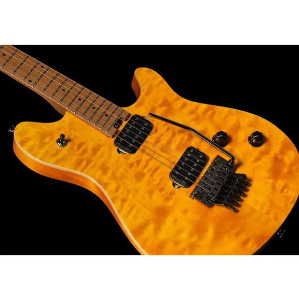 Evh Wolfgang WG Std QM TA
