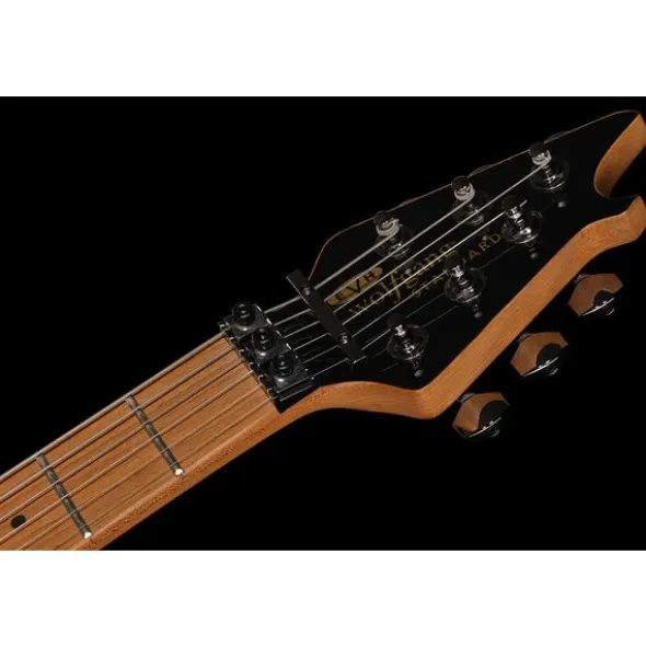 Evh Wolfgang WG Std QM TA