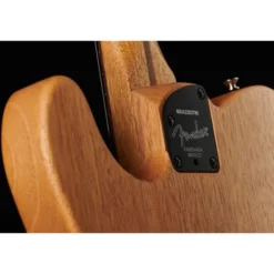 Fender Acoustasonic Player Tele BB