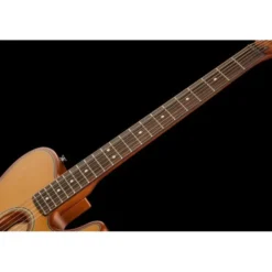 Fender Acoustasonic Standard Tele AGN