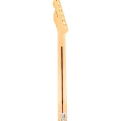 Fender Am Perf. Tele Neck RW