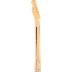 Fender Am Perf. Tele Neck RW