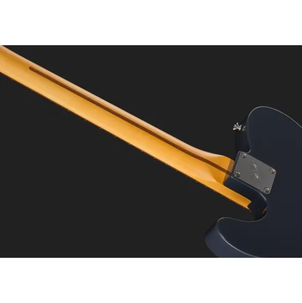 Fender Am Pro Clsc Tele RW FBLK