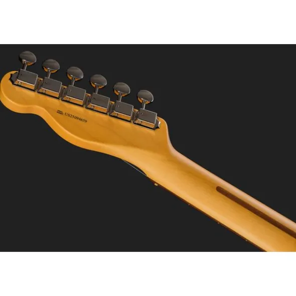 Fender Am Pro Clsc Tele RW FBLK