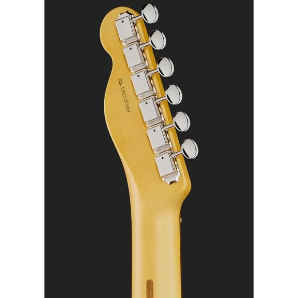 Fender Am Pro Clsc Tele RW FDKR