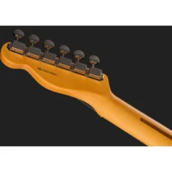 Fender Am Pro Clsc Tele SSS MN FLPB