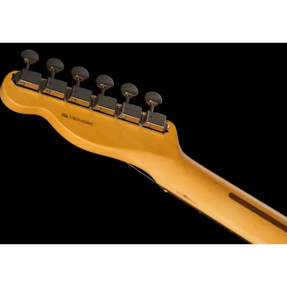 Fender Am Pro Clsc Tele SSS RW FSGM
