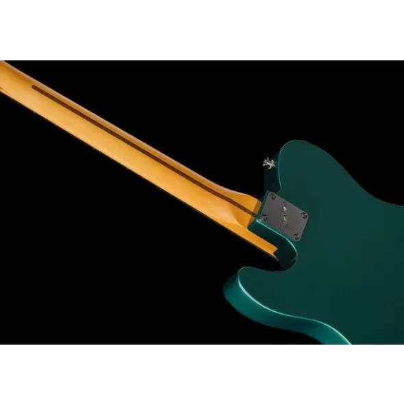 Fender Am Pro Clsc Tele SSS RW FSGM
