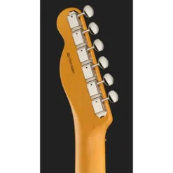 Fender Am Pro Clsc Tele SSS RW FSGM