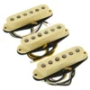 Fender Ancho Poblano Strat Set