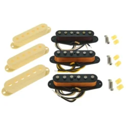 Fender Ancho Poblano Strat Set
