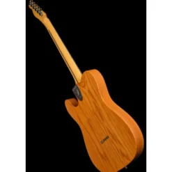 Fender AV II 72 TELE THINLINE MN AGN