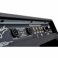 Fender Bassman 800 Head