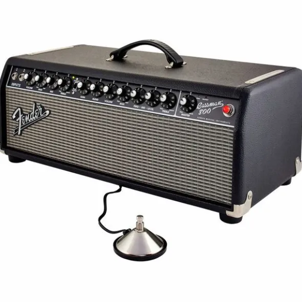 Fender Bassman 800 Head