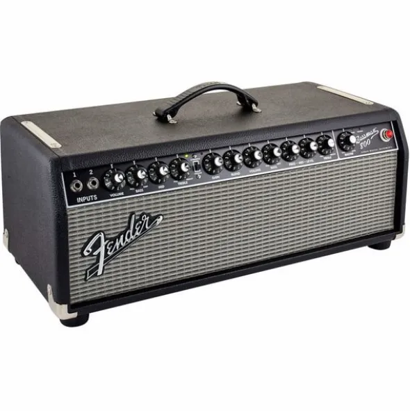 Fender Bassman 800 Head