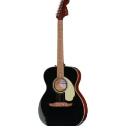 Fender CA DLX Monterey E BLK