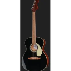 Fender CA DLX Monterey E BLK