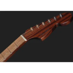 Fender CA DLX Monterey E HSB
