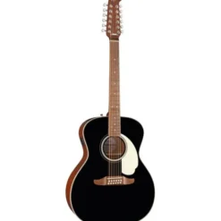 Fender CA DLX Villager E BLK