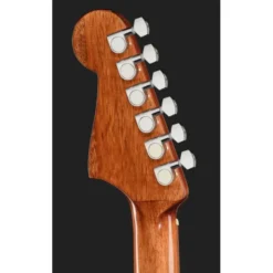 Fender CA STD Redondo IPG BLK