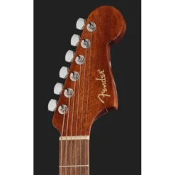 Fender CA STD Redondo IPG BLK