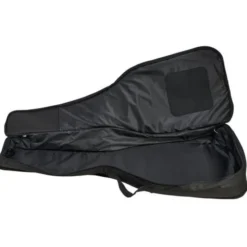 Fender CN-60S Black IL w/Bag