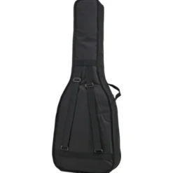 Fender CN-60S Black IL w/Bag