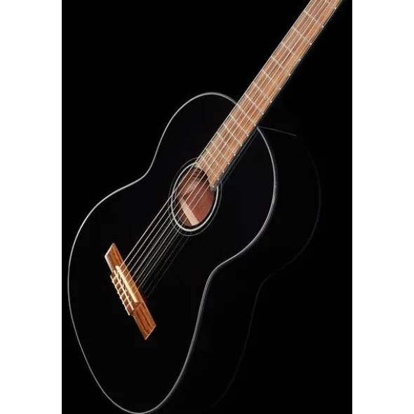 Fender CN-60S Black IL w/Bag