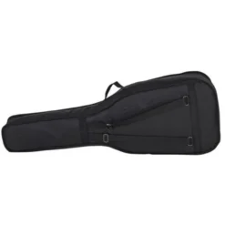 Fender CN-60S Black IL w/Bag