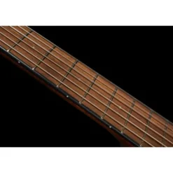 Fender CN-60S Natural WN