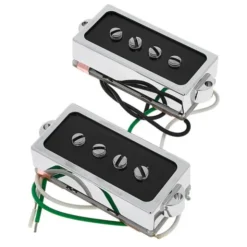Fender Cobalt Chrome P Bass Set
