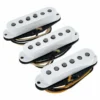 Fender Custom Texas Special Strat Set
